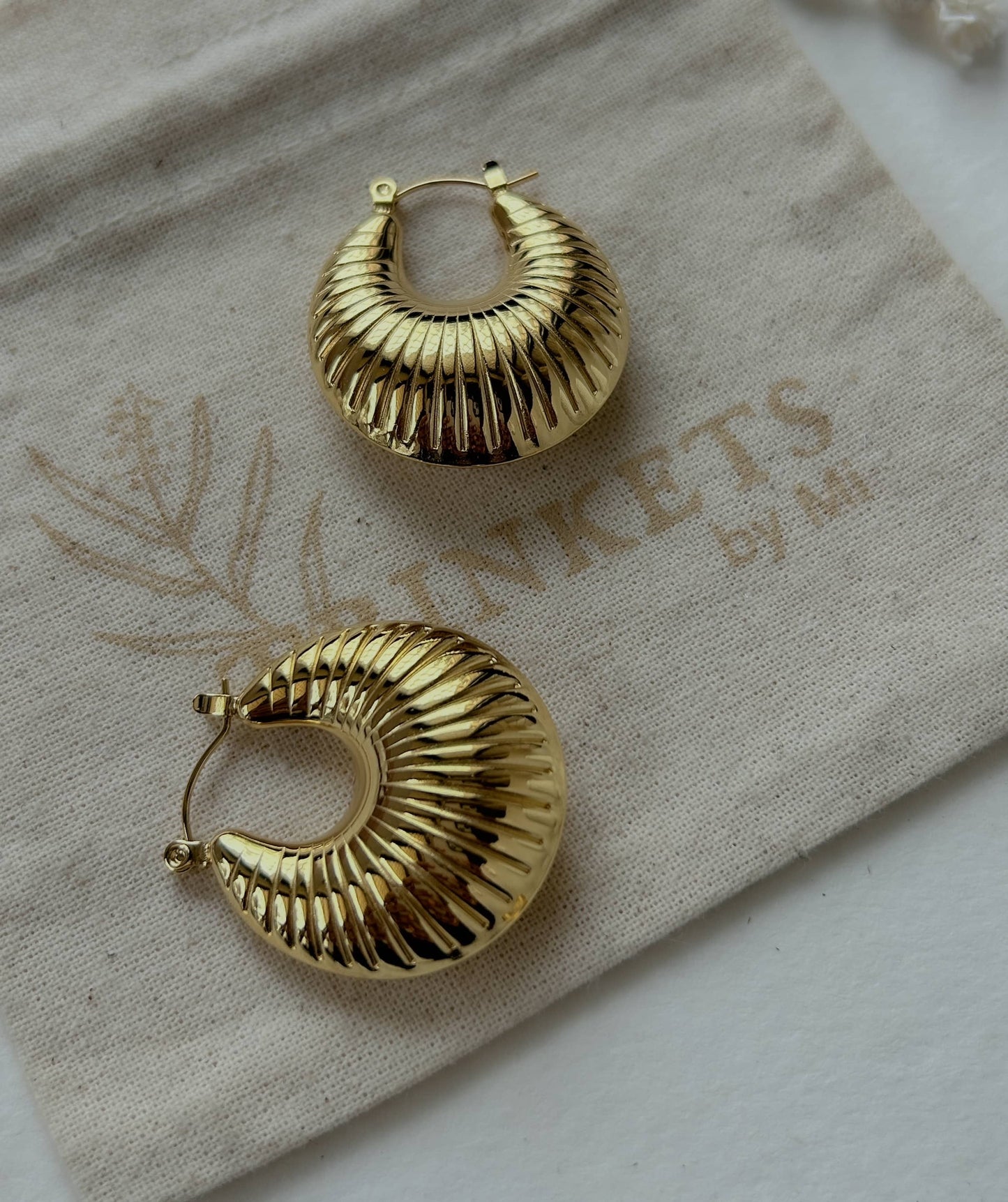 Janice Hoops
