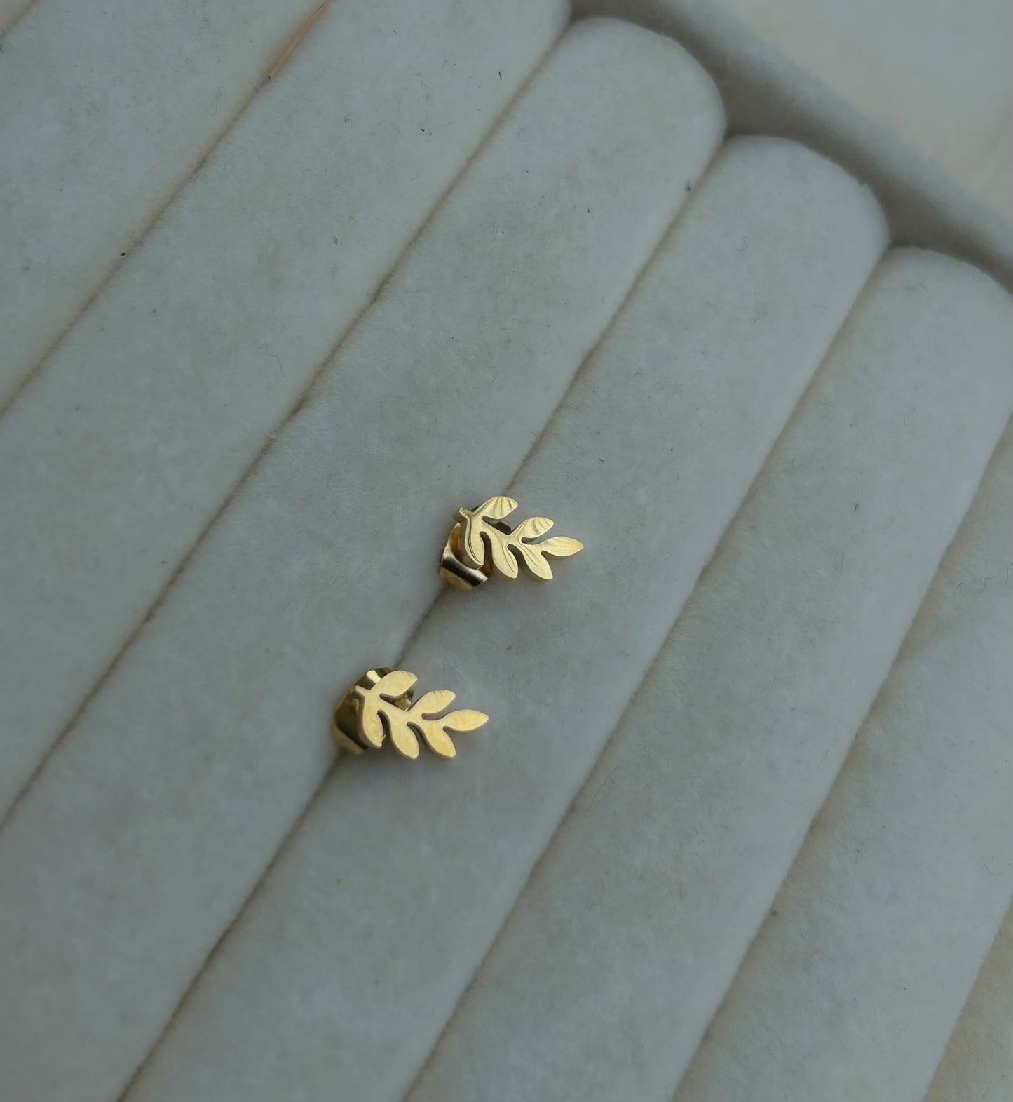 Botaniq Set