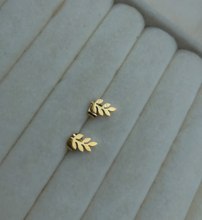 Botaniq Set