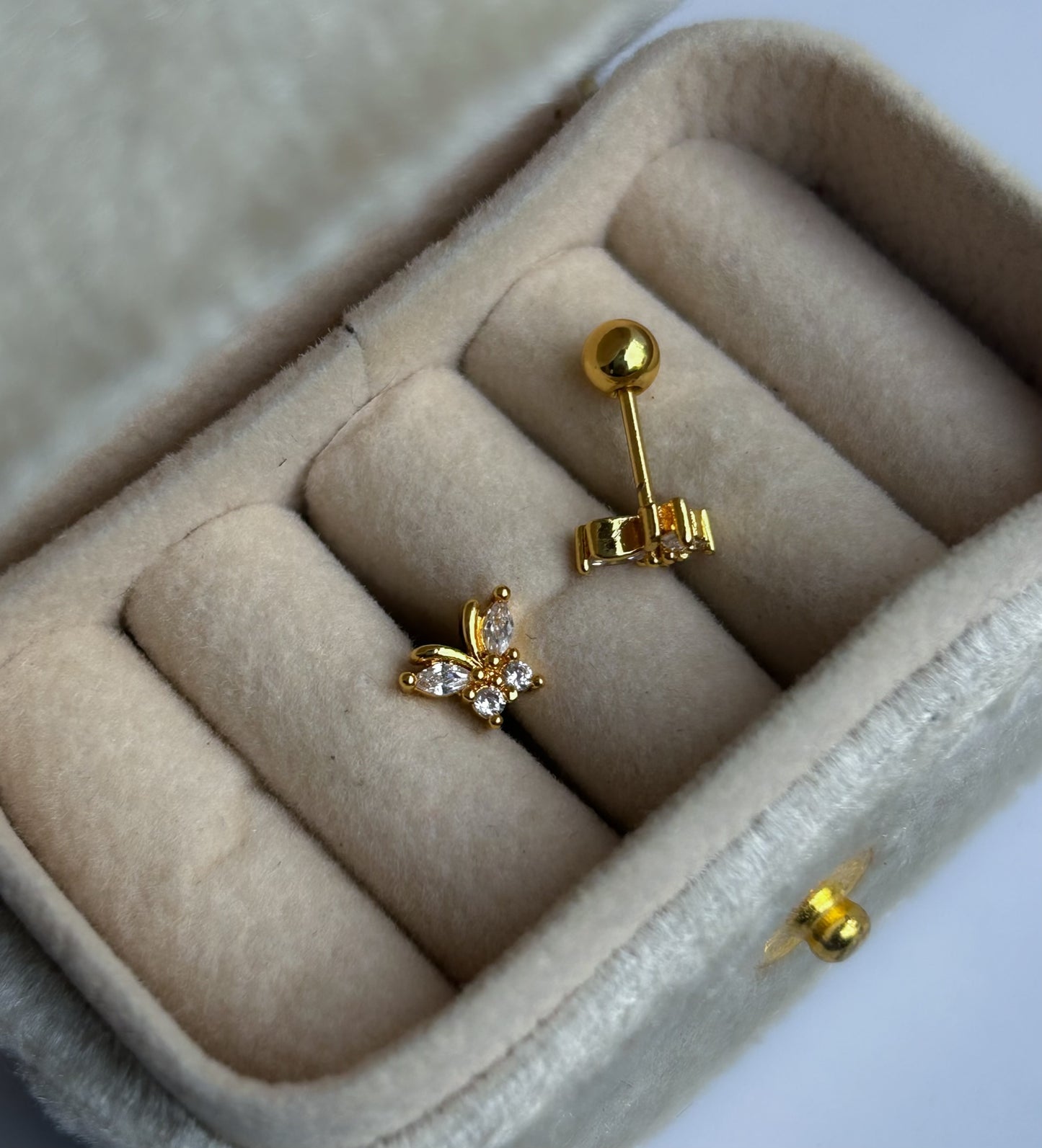 Dainty Dots Collection