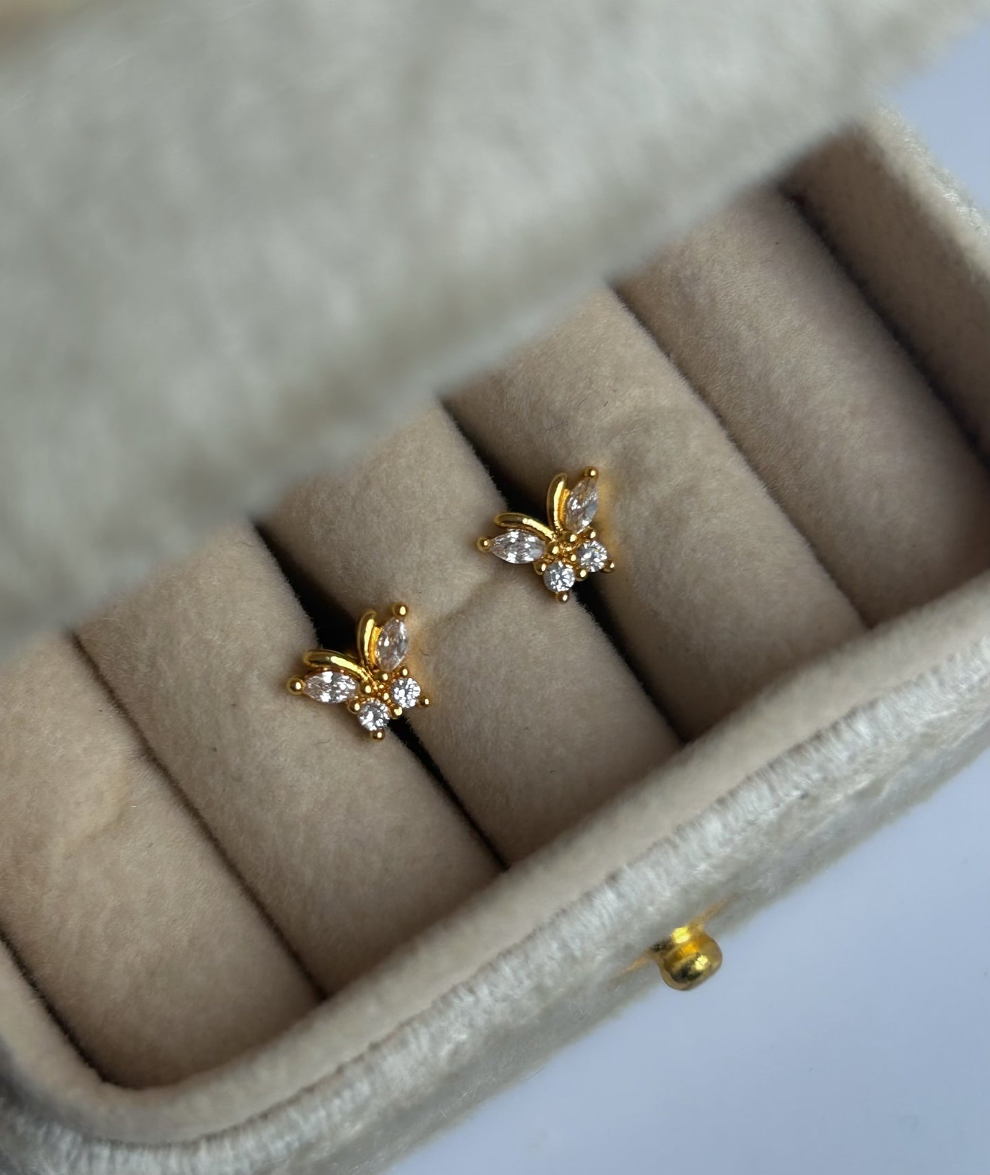 Dainty Dots Collection