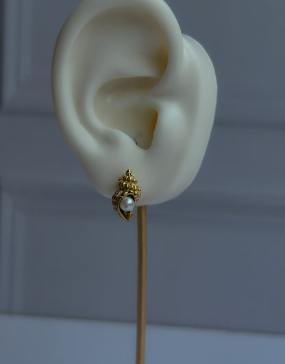 Shell Glow Studs