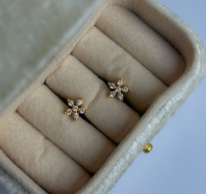 Dainty Dots Collection