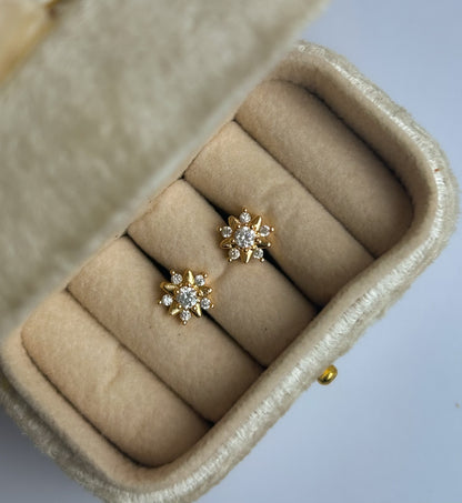 Dainty Dots Collection