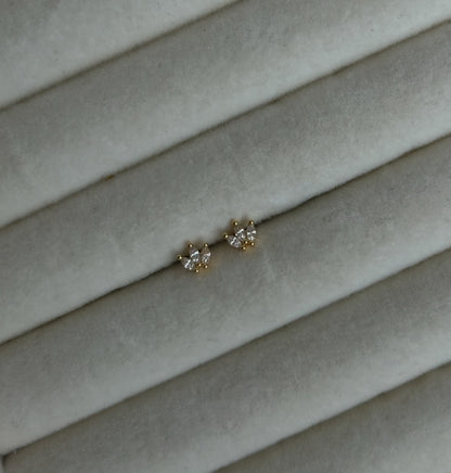 Dainty Dots Collection