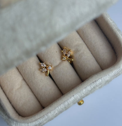 Dainty Dots Collection