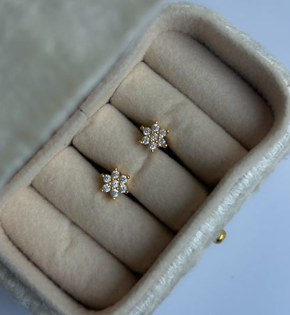 Dainty Dots Collection