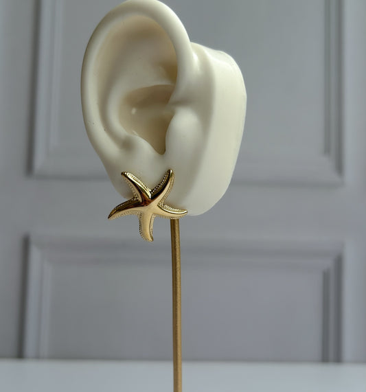 Tavi Studs