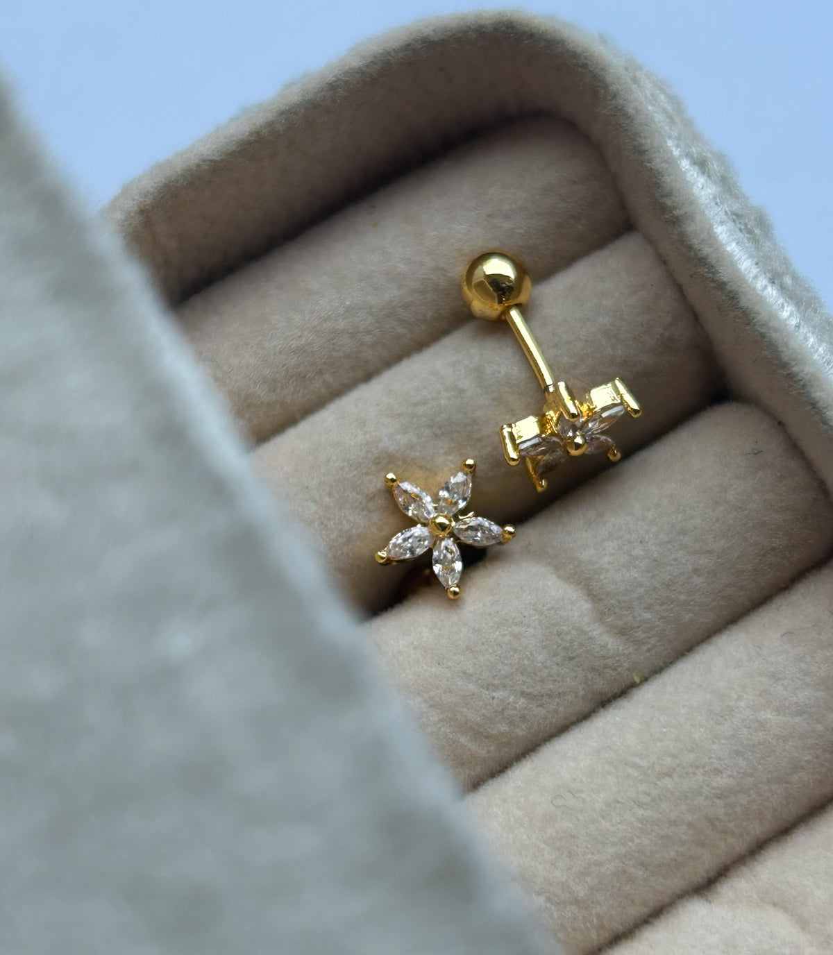 Dainty Dots Collection
