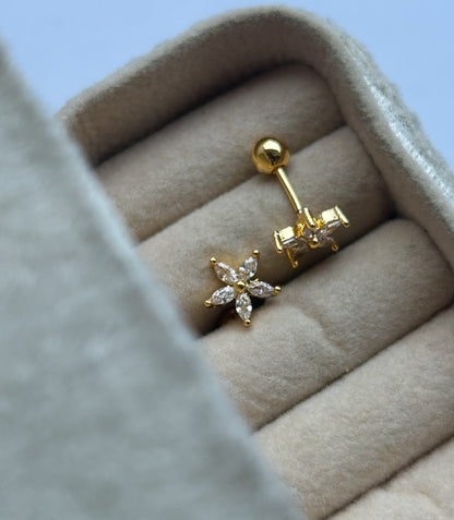 Dainty Dots Collection