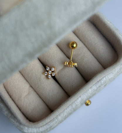 Dainty Dots Collection
